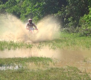 15 patafufos fazem trilha no Pantanal