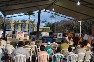 Clube do Cavalo leva curso da Escola Nacional do Cavalo Campolina para Conselheiro Lafaiete (MG)