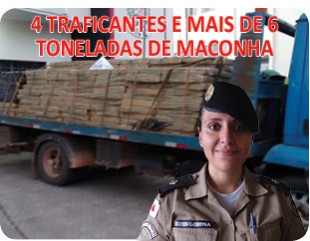  4 TRAFICANTES E MAIS DE 6 TONELADAS DE MACONHA