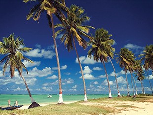 UM PARAÍSO CHAMADO GOSTOSO