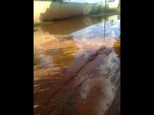 “CADÊ O MUTIRÃO DA DENGUE”?