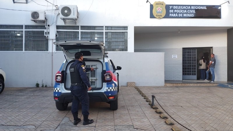 PRESO POR MALTRATAR ANIMAIS E REALIZAR RINHAS