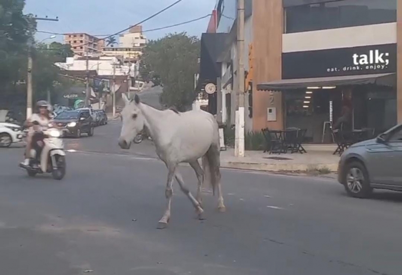 
GRITO POPULAR
