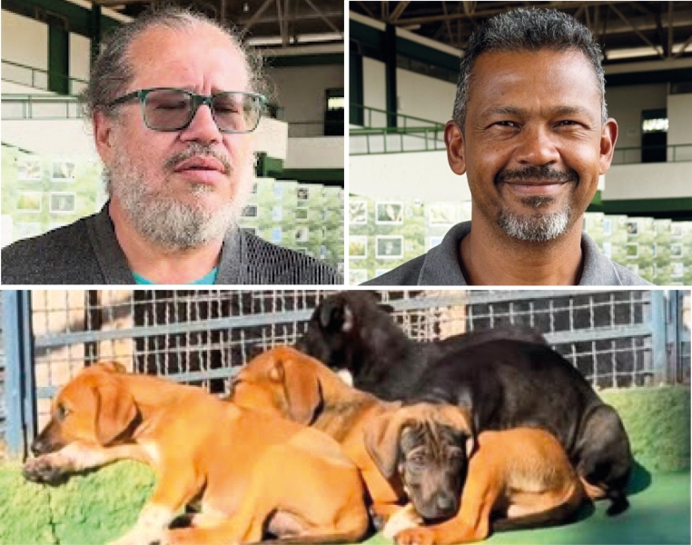 UM LAR DEFINITIVO PARA OS ANIMAIS ABANDONADOS